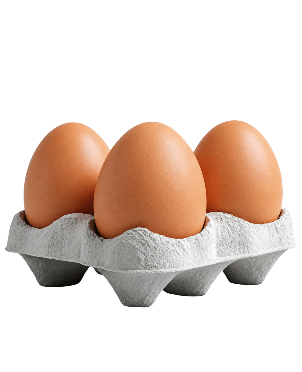 oeuf pondeuse